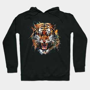 Tiger Color Adaptations Hoodie